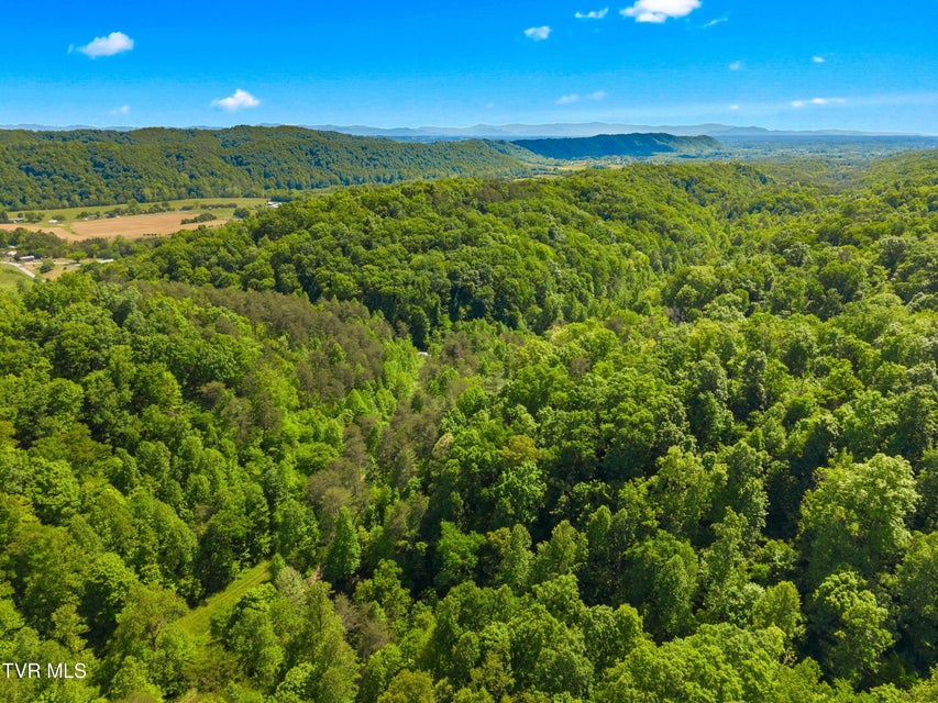 Photo #15: 1243 Brandon Hollow Lane