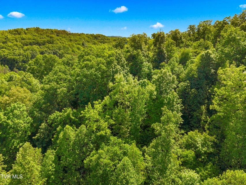 Photo #16: 1243 Brandon Hollow Lane