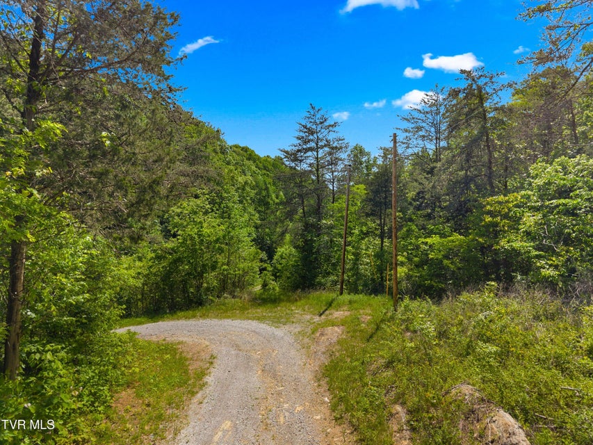 Photo #17: 1243 Brandon Hollow Lane