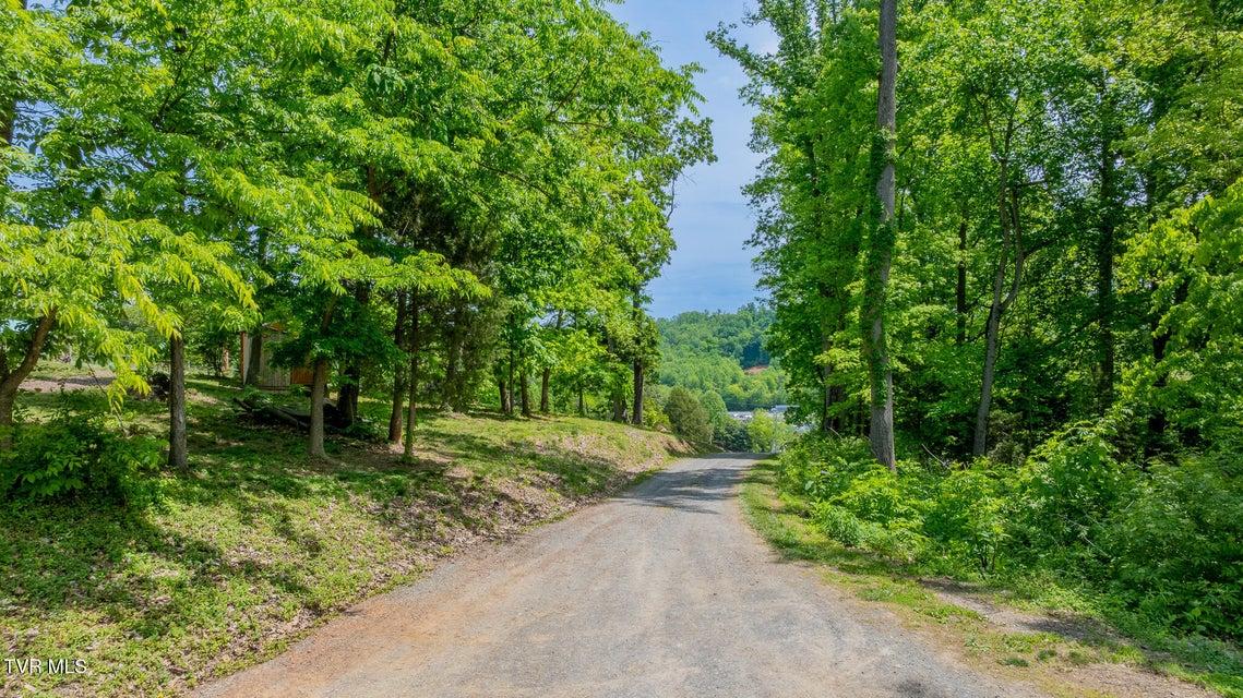 Photo #59: 140 Bl Moore Lane