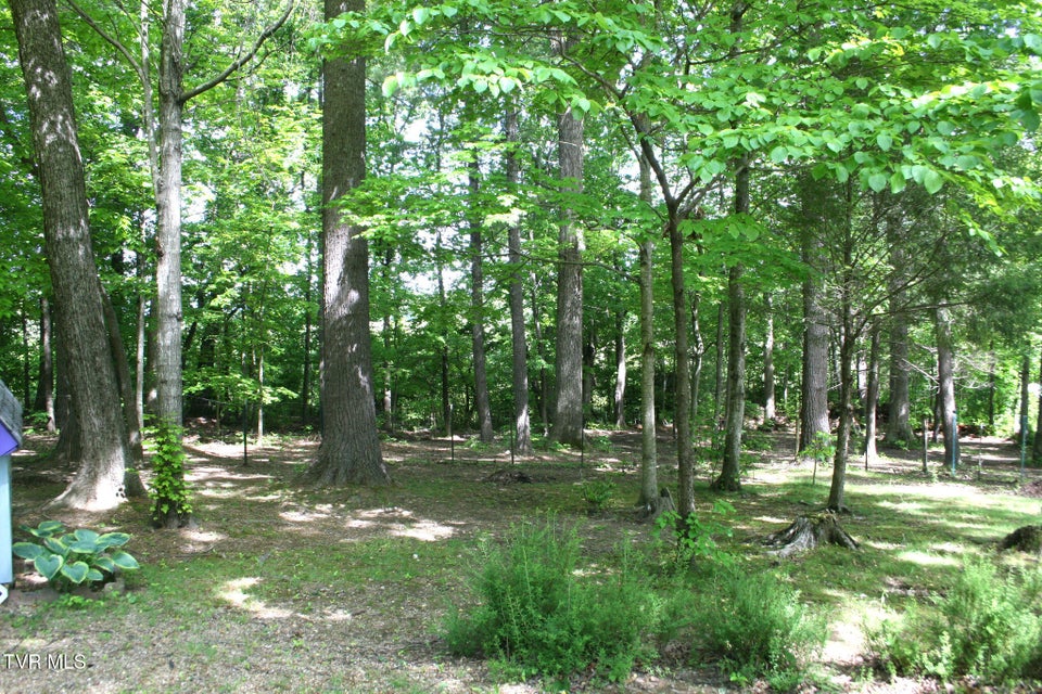 Photo #42: 130 Kenneth Foster Road