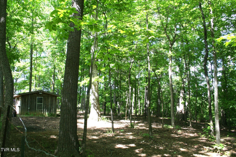 Photo #43: 130 Kenneth Foster Road
