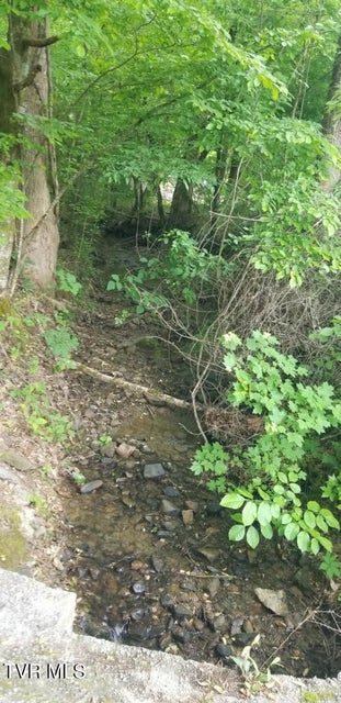 Photo #4: 1561 Jobey Green Hollow Road