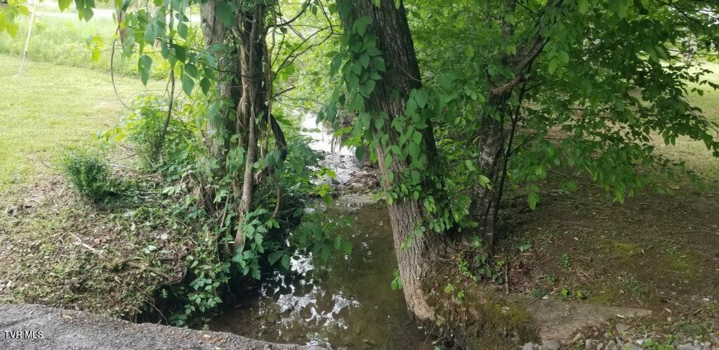 Photo #3: 1561 Jobey Green Hollow Road