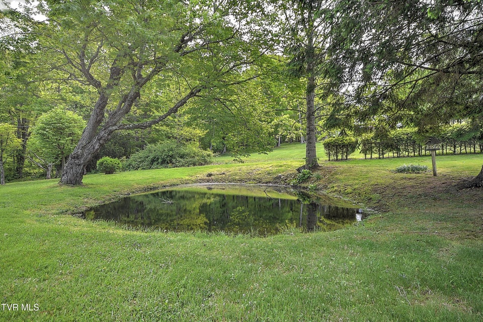 Photo #11: 602 Heaton Creek Road