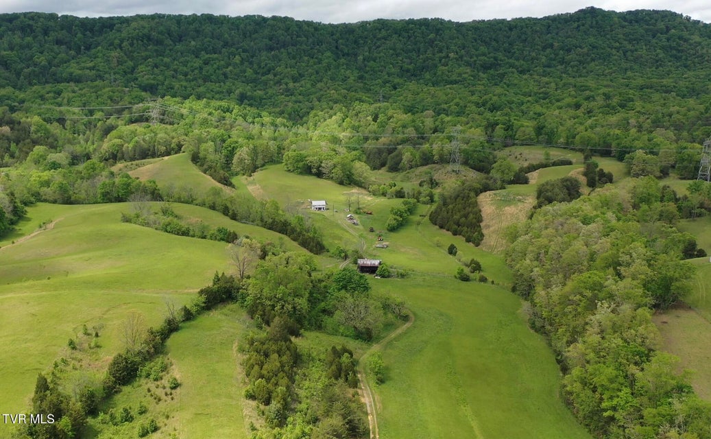 Photo #4: 7084 Lone Star Road
