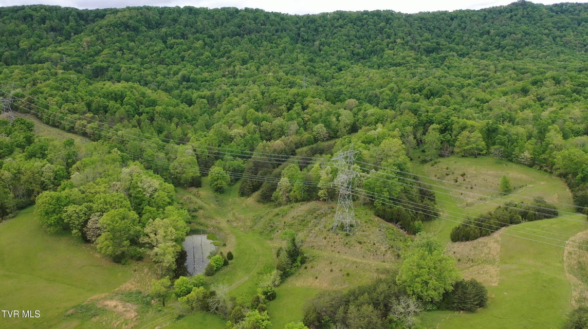 Photo #16: 7084 Lone Star Road
