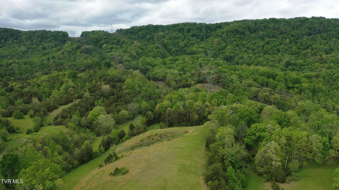Photo #17: 7084 Lone Star Road