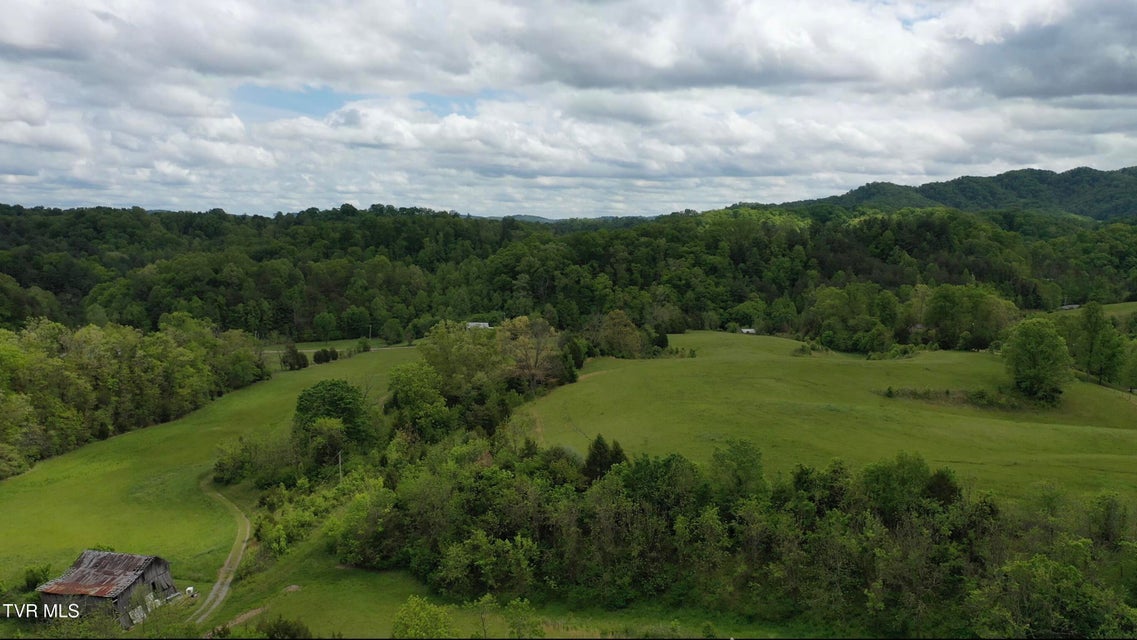 Photo #20: 7084 Lone Star Road