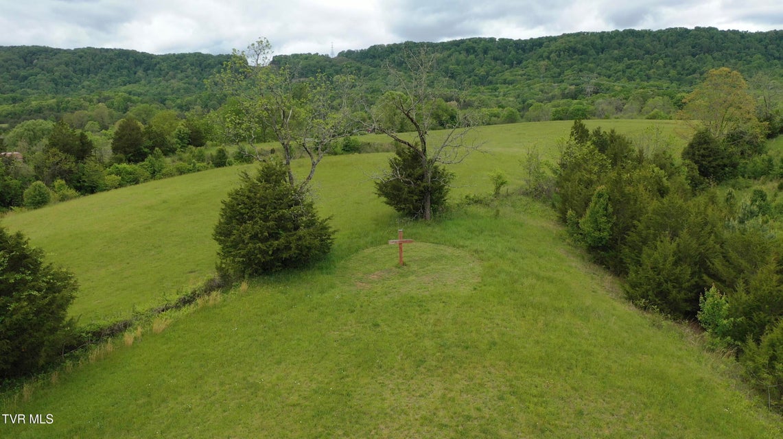Photo #23: 7084 Lone Star Road