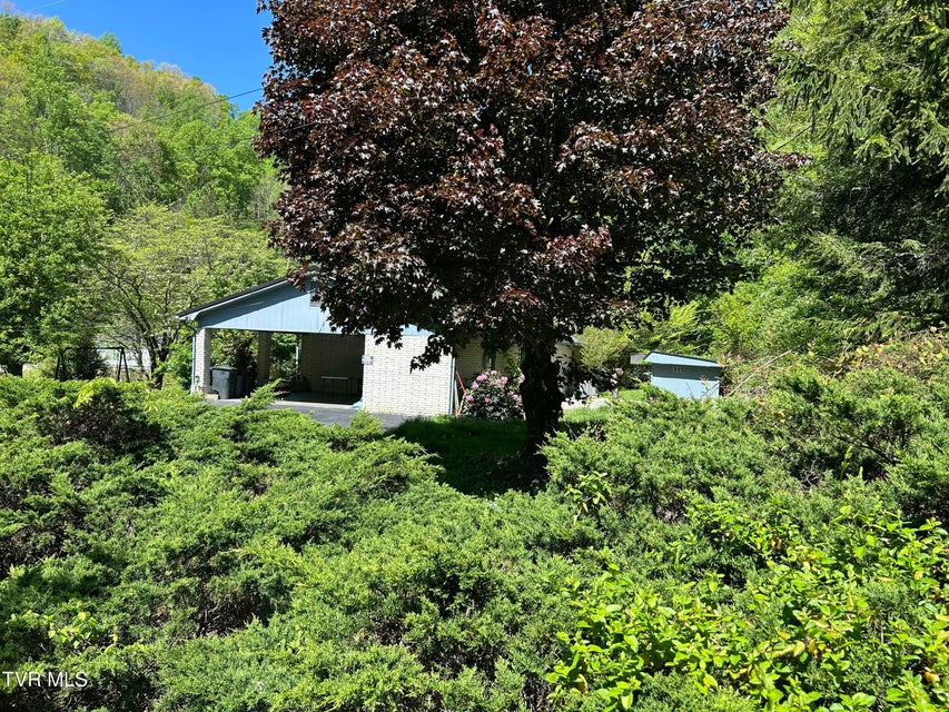Photo #4: 665 Isabell Street