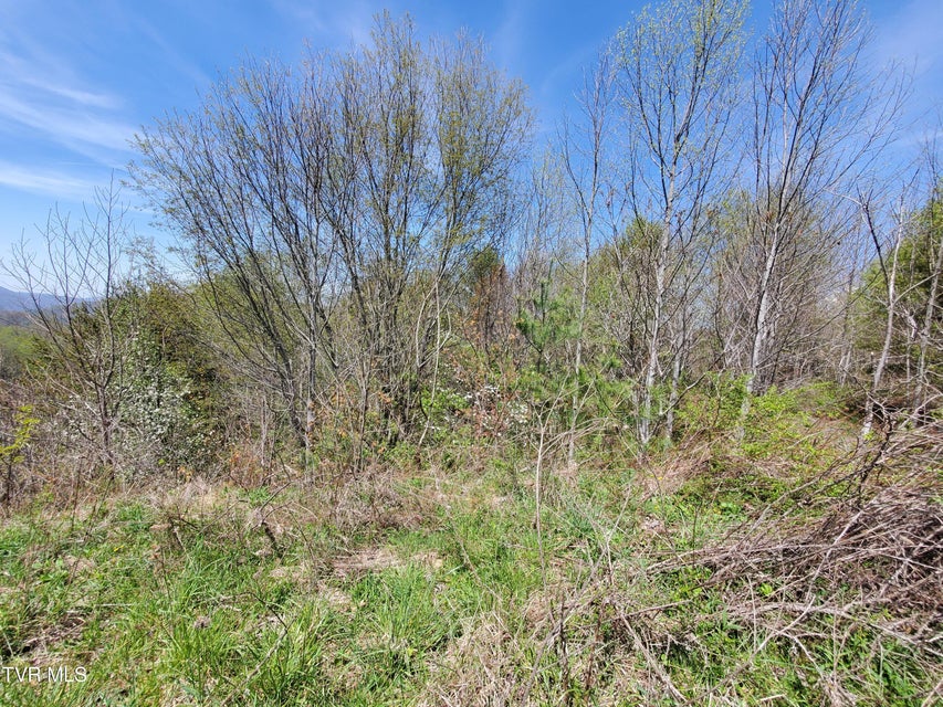 Photo #2: Lot 27 Blue Grass Road