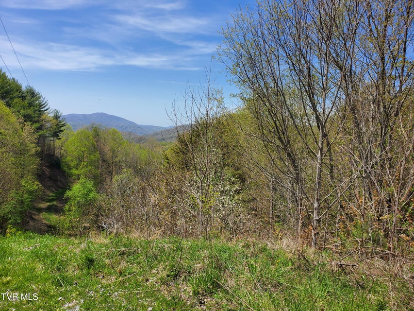 Photo #3: Lot 27 Blue Grass Road