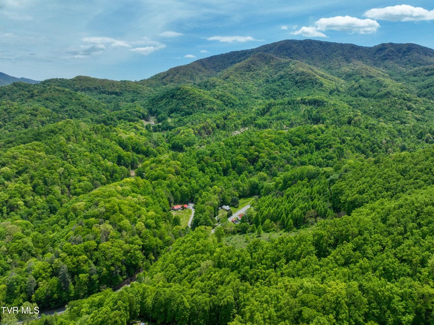 Photo #61: 275 Tiger Creek Road