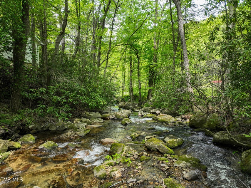 Photo #83: 275 Tiger Creek Road