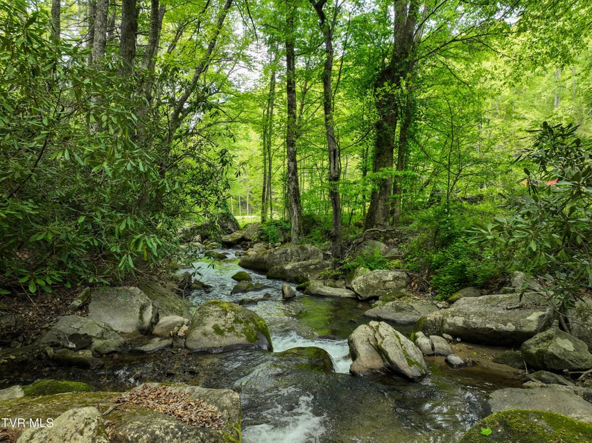 Photo #84: 275 Tiger Creek Road