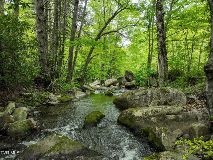 Photo #85: 275 Tiger Creek Road