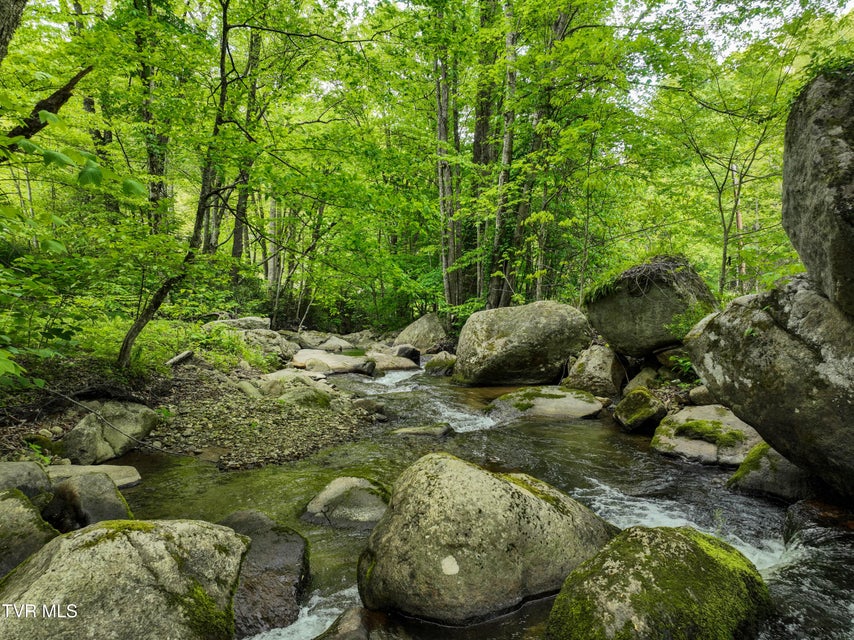 Photo #86: 275 Tiger Creek Road