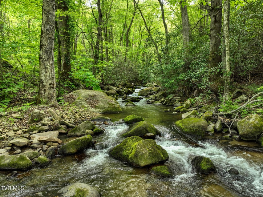 Photo #87: 275 Tiger Creek Road