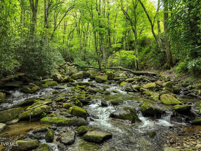 Photo #88: 275 Tiger Creek Road
