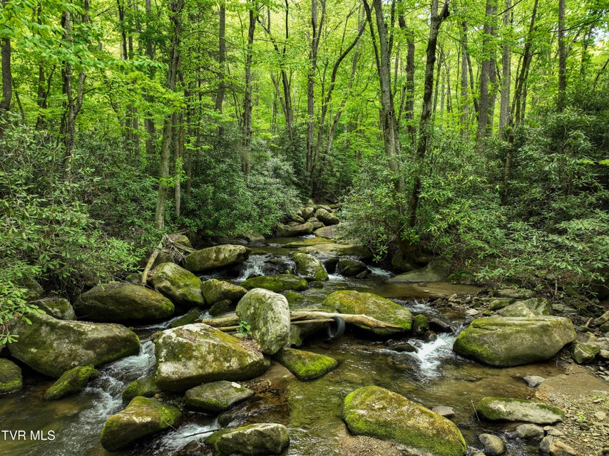 Photo #89: 275 Tiger Creek Road