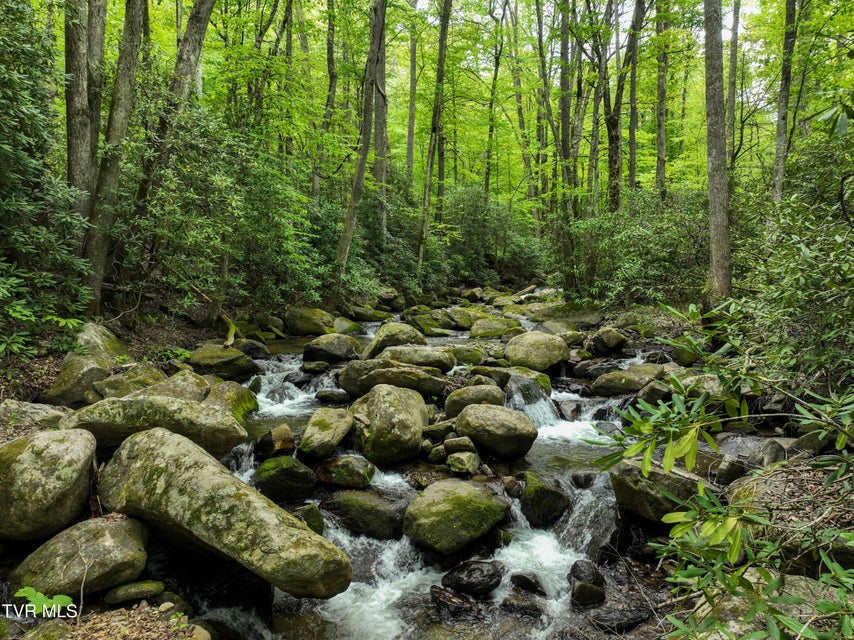 Photo #90: 275 Tiger Creek Road