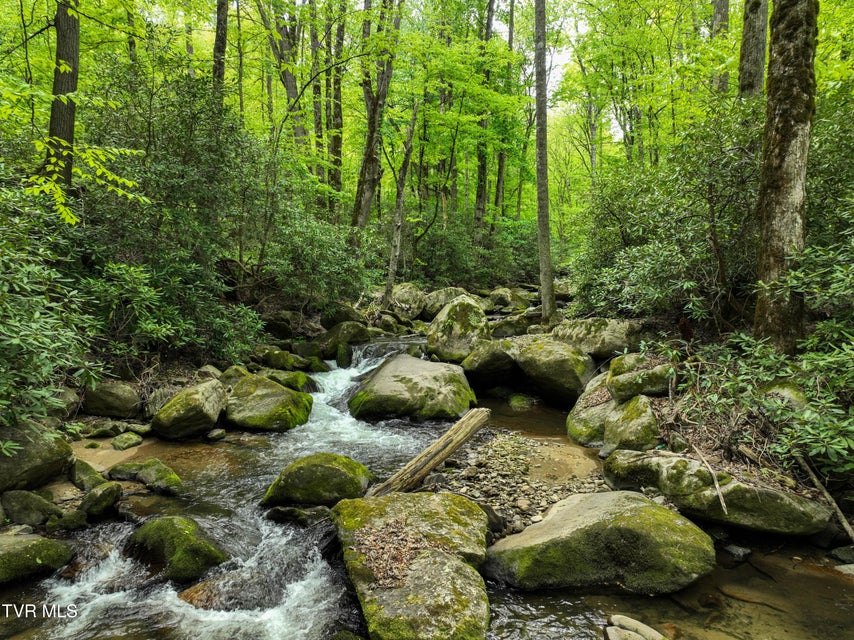 Photo #91: 275 Tiger Creek Road