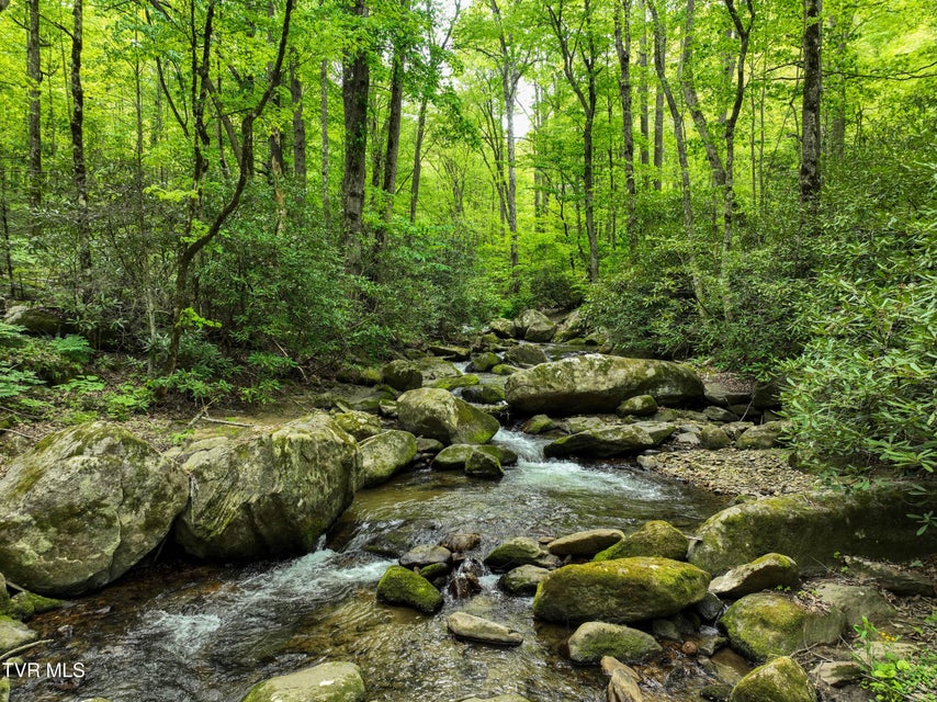 Photo #92: 275 Tiger Creek Road