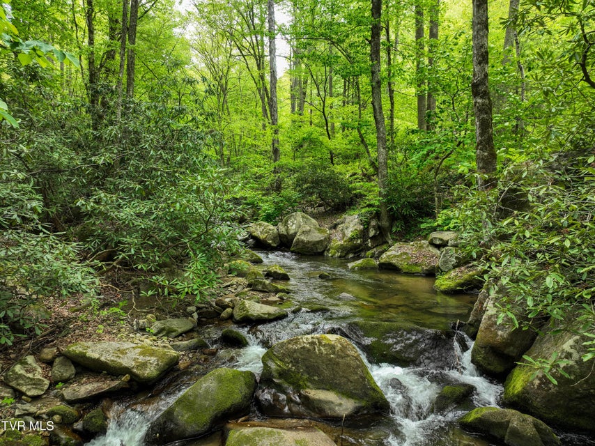 Photo #93: 275 Tiger Creek Road