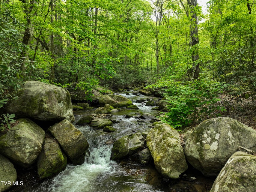 Photo #94: 275 Tiger Creek Road
