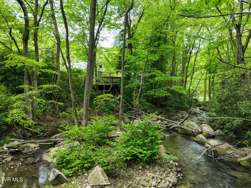 Photo #95: 275 Tiger Creek Road