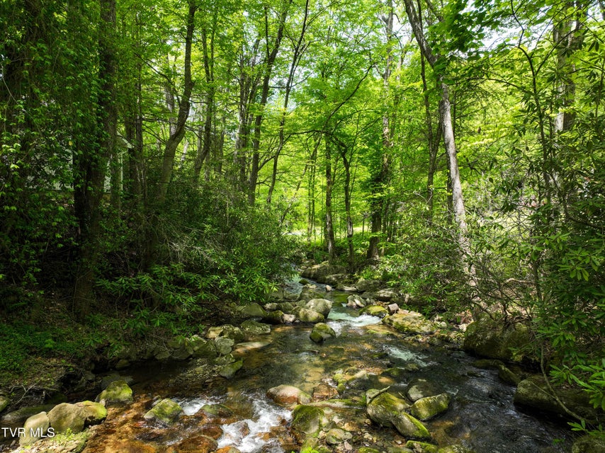 Photo #96: 275 Tiger Creek Road