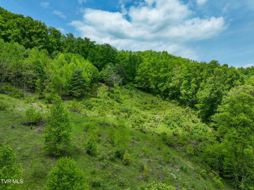 Photo #98: 275 Tiger Creek Road