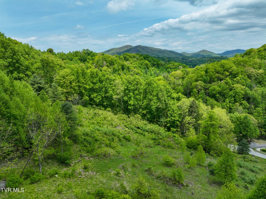 Photo #99: 275 Tiger Creek Road