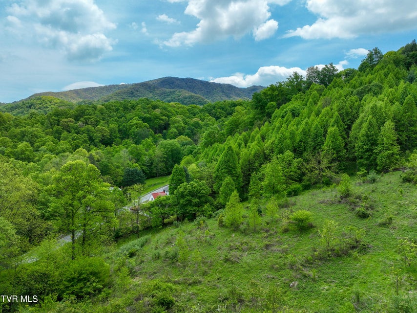 Photo #100: 275 Tiger Creek Road