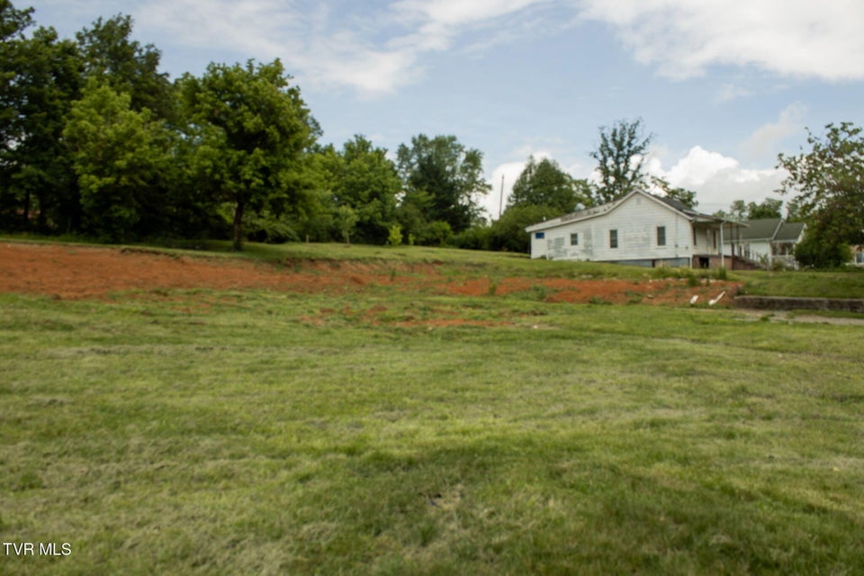 Photo #2: Tr 1 Bernard Avenue