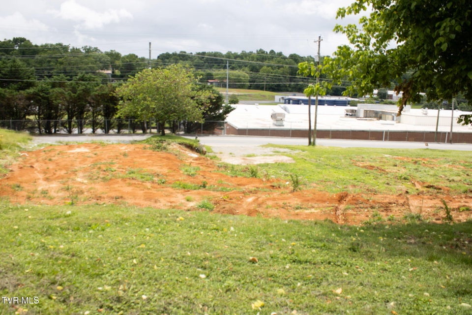 Photo #3: Tr 1 Bernard Avenue