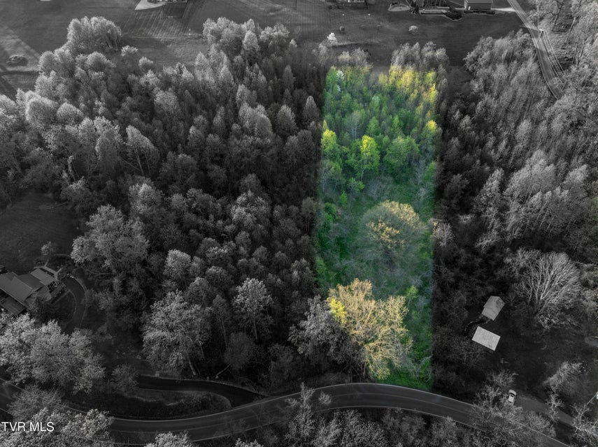 Photo #4: 6260 Chestnut Ridge Road