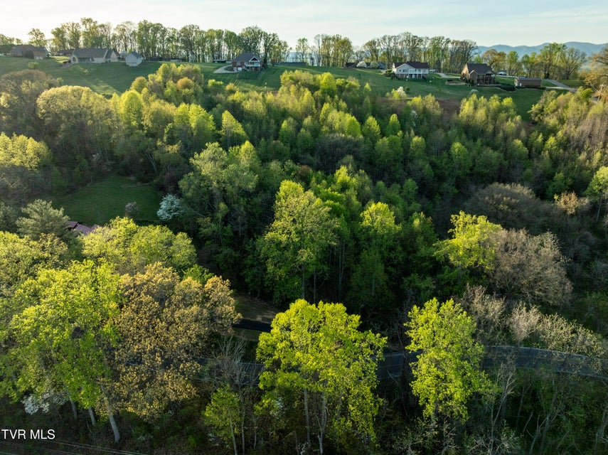 Photo #6: 6260 Chestnut Ridge Road