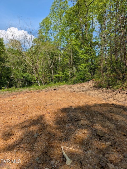 Photo #2: 523 Sulphur Springs Road