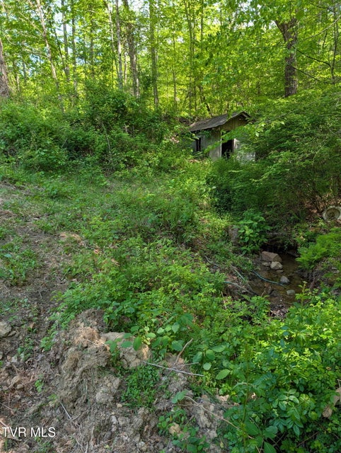 Photo #4: 523 Sulphur Springs Road