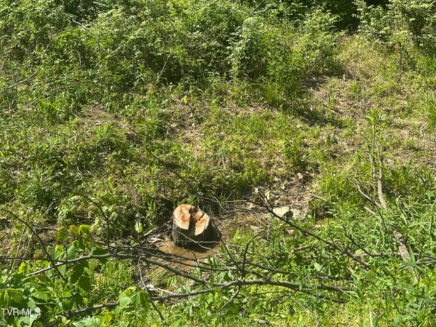 Photo #6: 523 Sulphur Springs Road