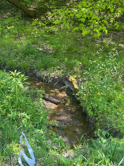 Photo #7: 523 Sulphur Springs Road