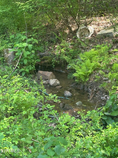 Photo #8: 523 Sulphur Springs Road