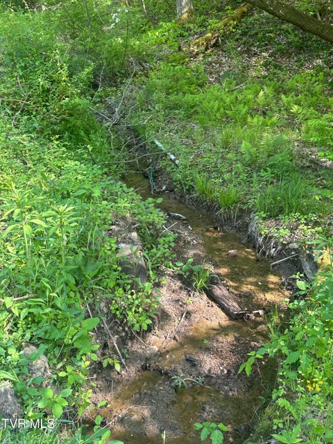 Photo #9: 523 Sulphur Springs Road