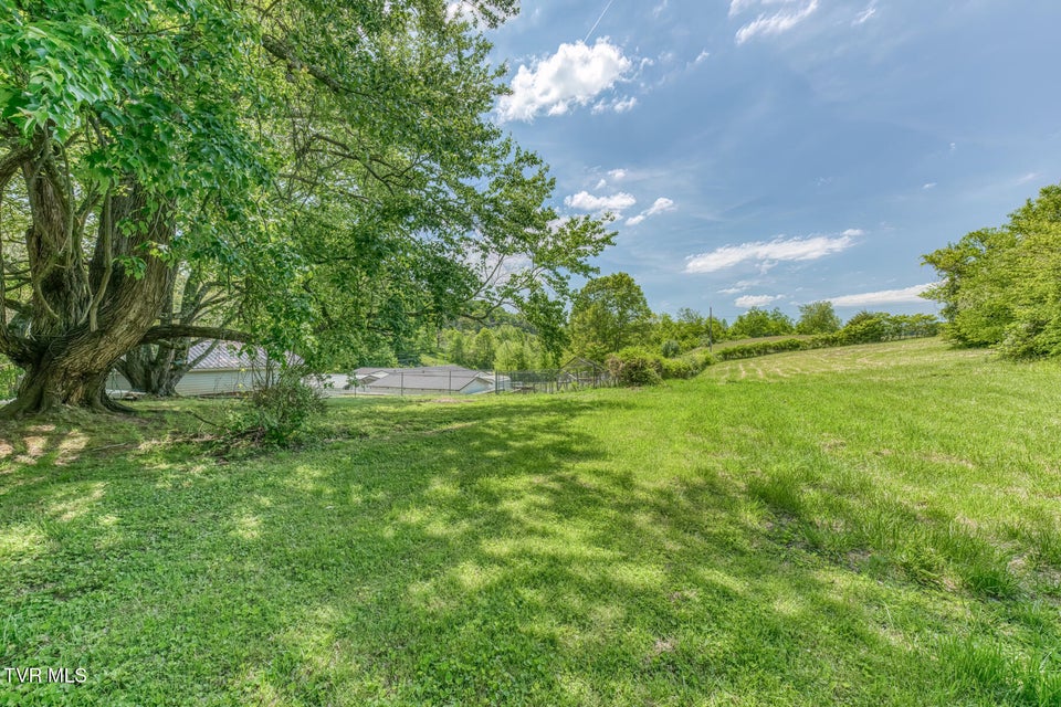 Photo #60: 16905 Kingsport Highway