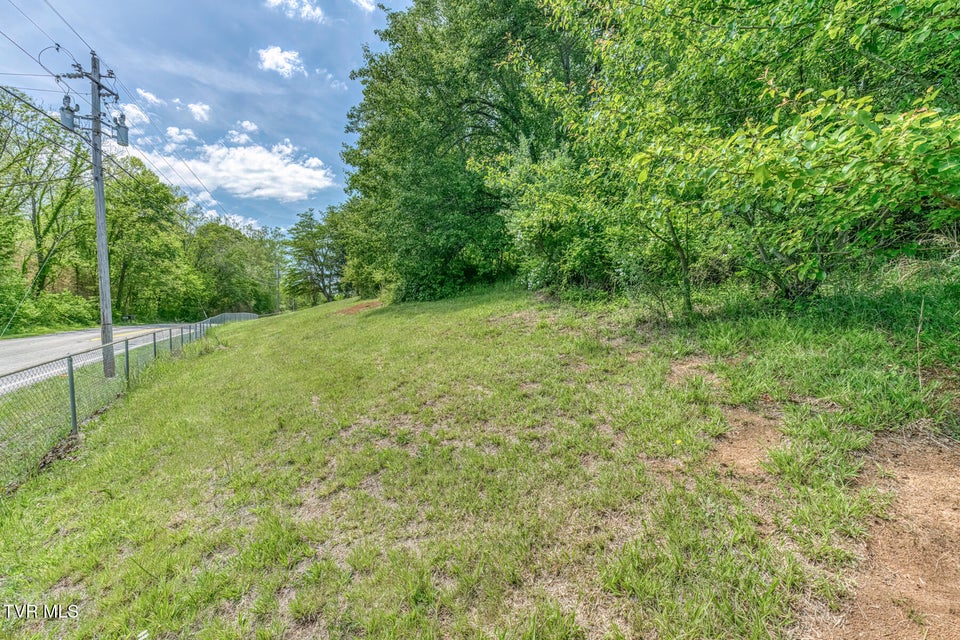Photo #66: 16905 Kingsport Highway