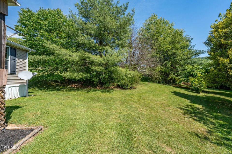 Photo #5: 239 Morley Street