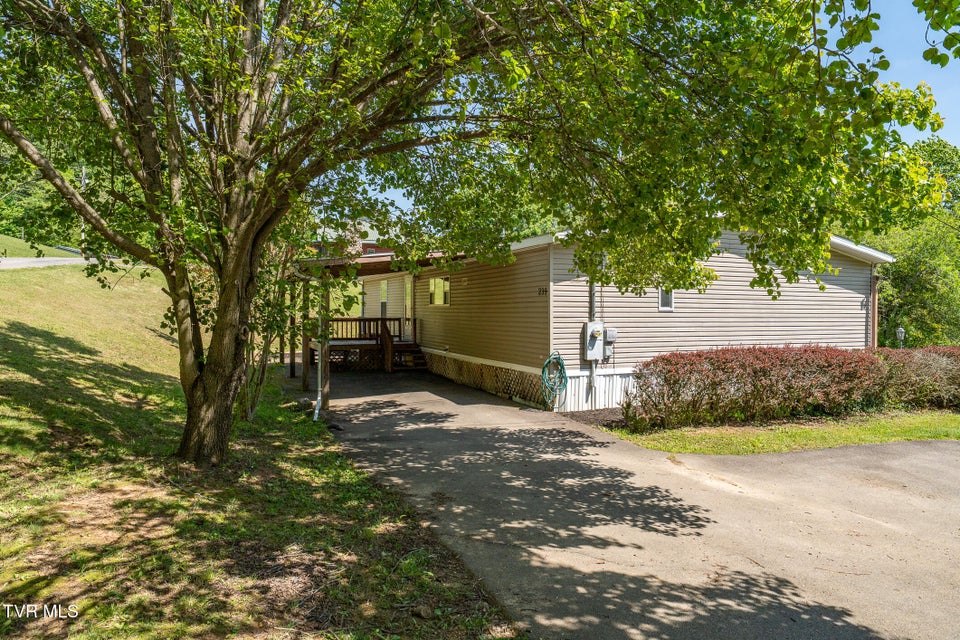 Photo #9: 239 Morley Street