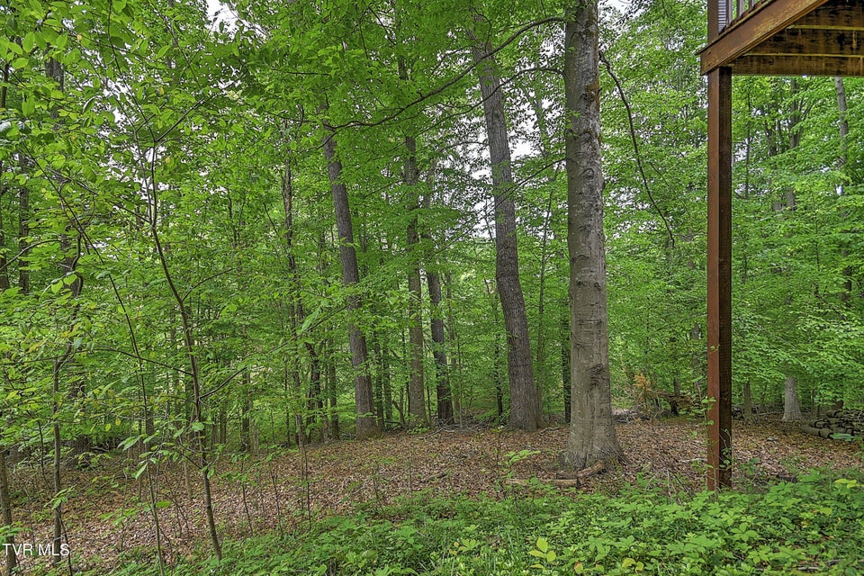 Photo #65: 421 Arrowhead Drive